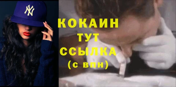винт Чегем