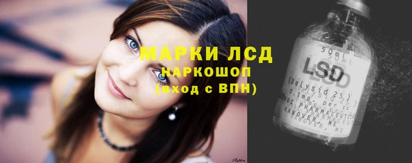 прущие грибы Шали